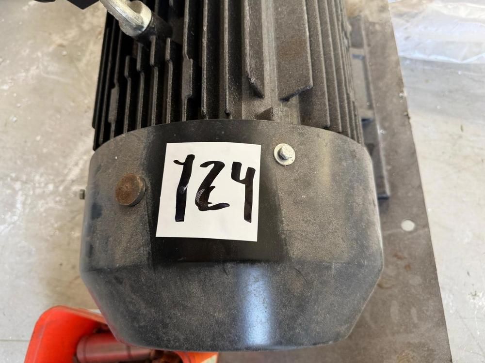 Cemer 3 Phase Induction motor