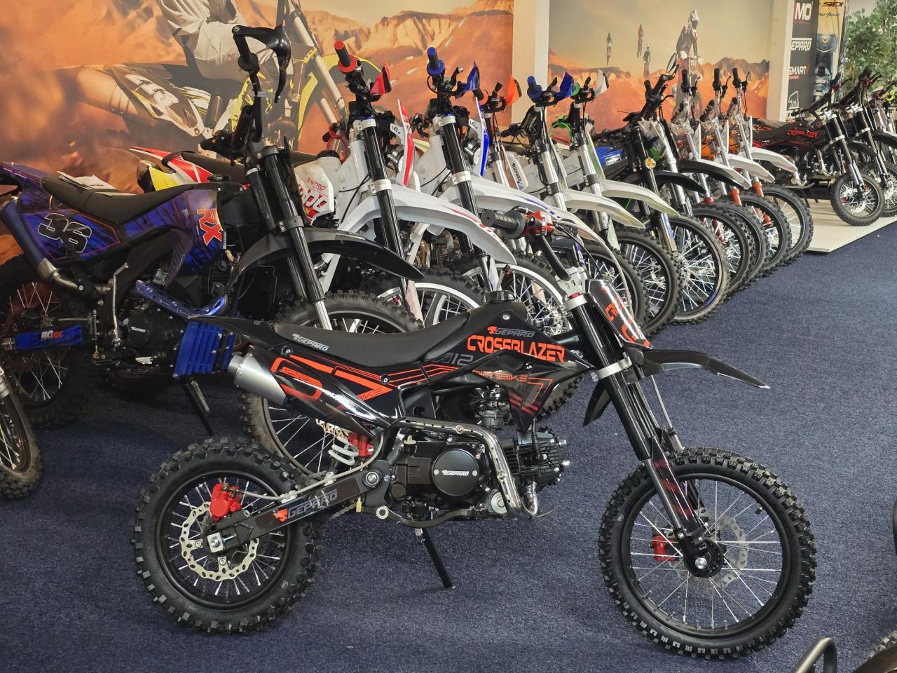 MINICROSS MOTORCROSS KINDERCROSS 49cc 110cc 125cc 150cc 250cc