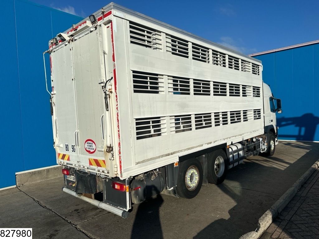 Volvo FM 540 6x2, EURO 6, Guitton 3 Deck Live Stock