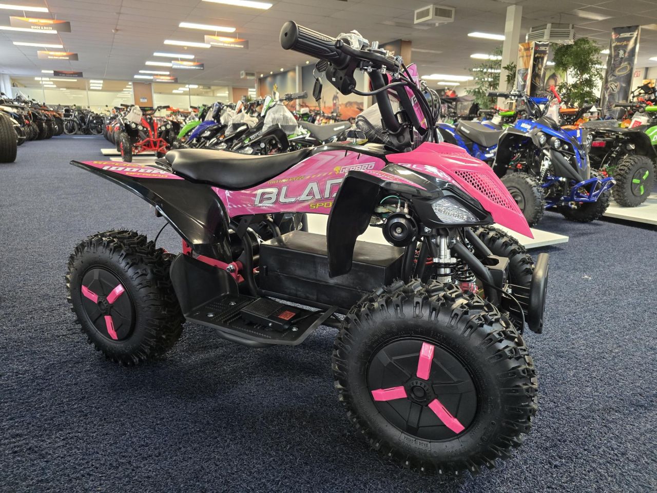 Kinderquad miniquad 2 takt 4 takt elektrisch 49cc 110cc