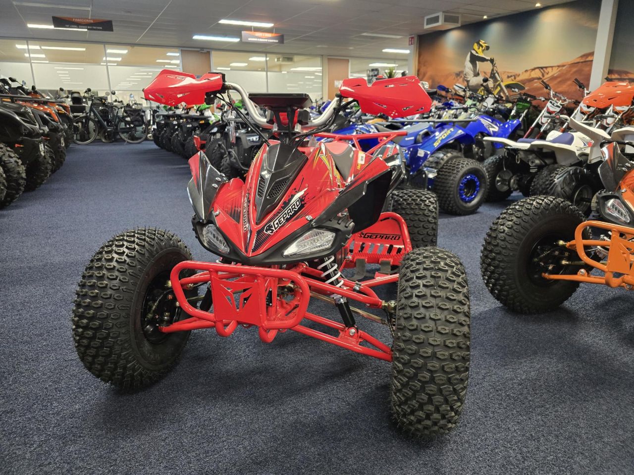 Kinderquad miniquad 2 takt 4 takt elektrisch 49cc 110cc